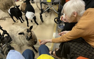 Ranna Rantšo loomade külaskäik