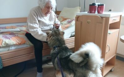 Tartu Pihlakodus käis külas koerapoiss Villu